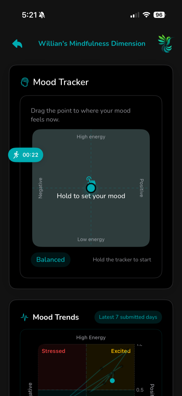 Mindfulness dimension